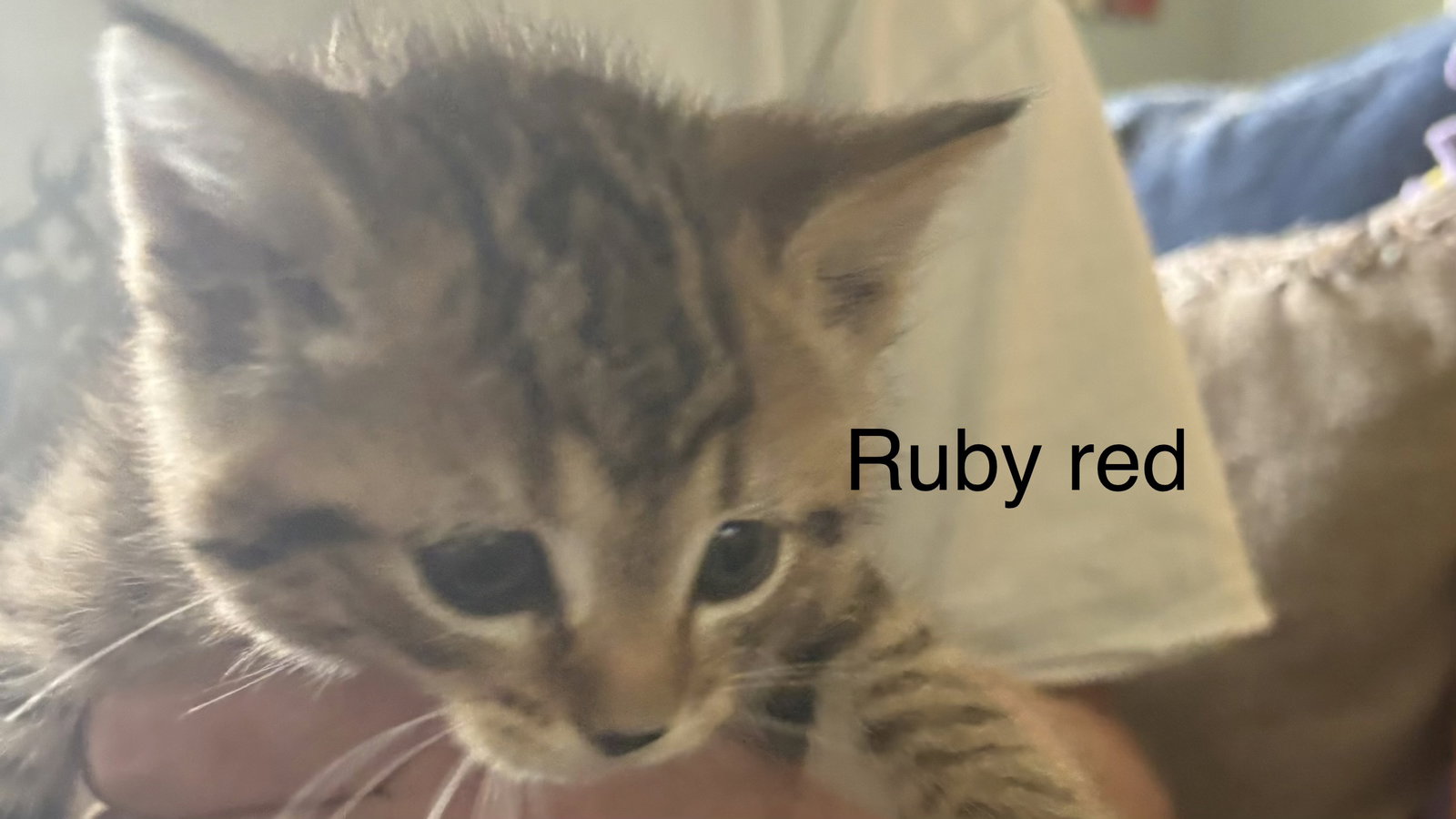 Ruby