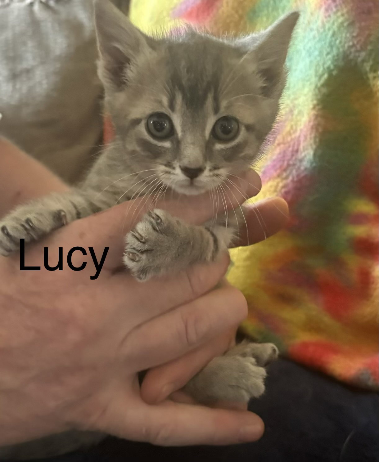 Lucy