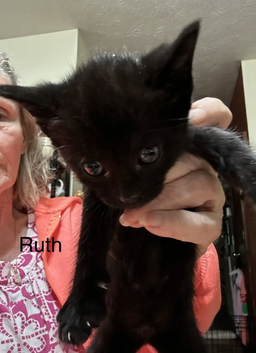Ruth (kk)