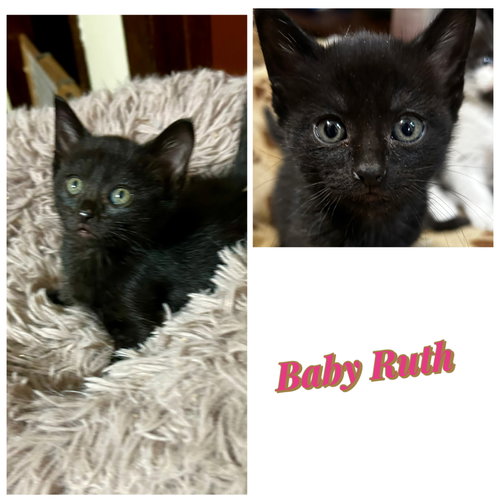 BABY RUTH: kk
