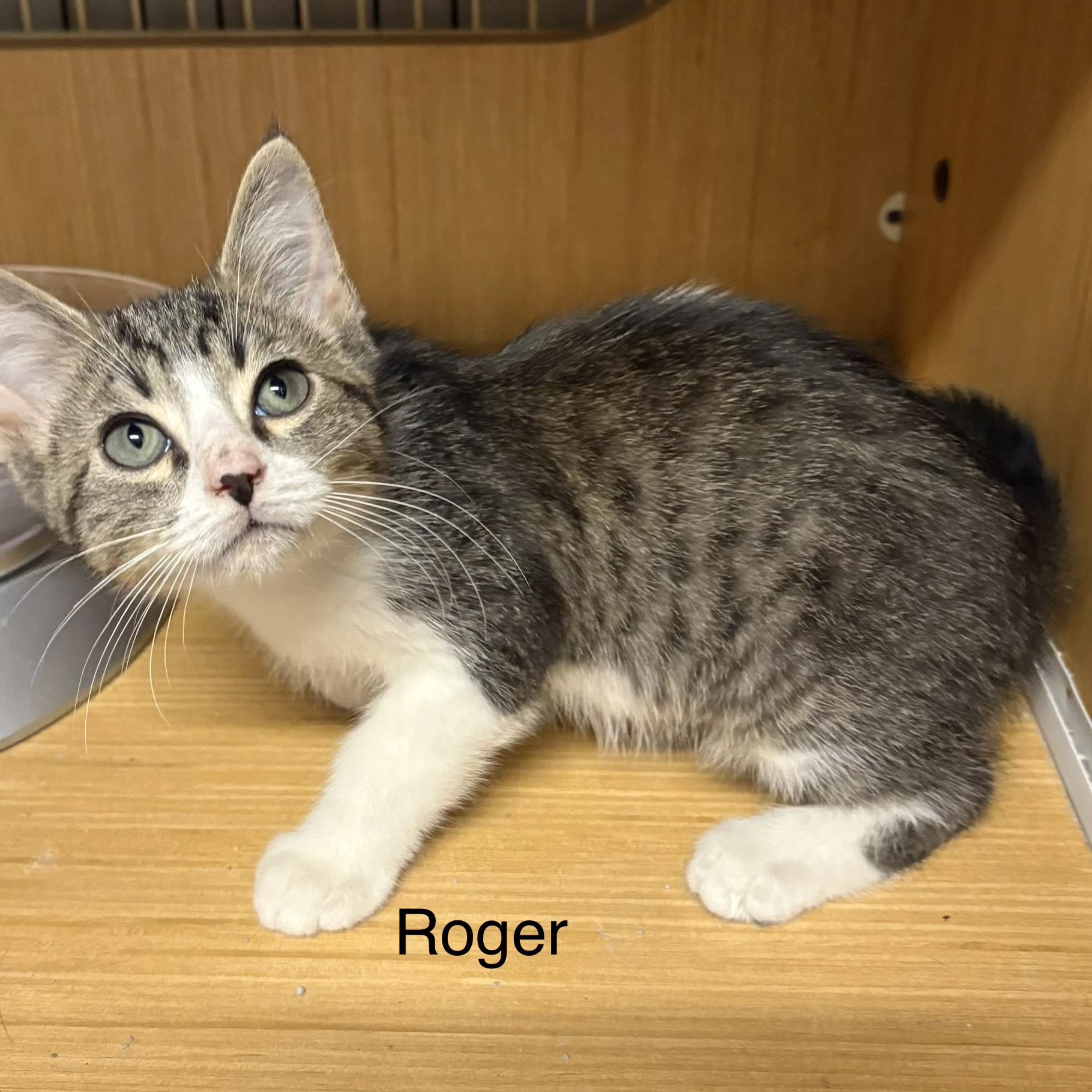 Rodger  Th
