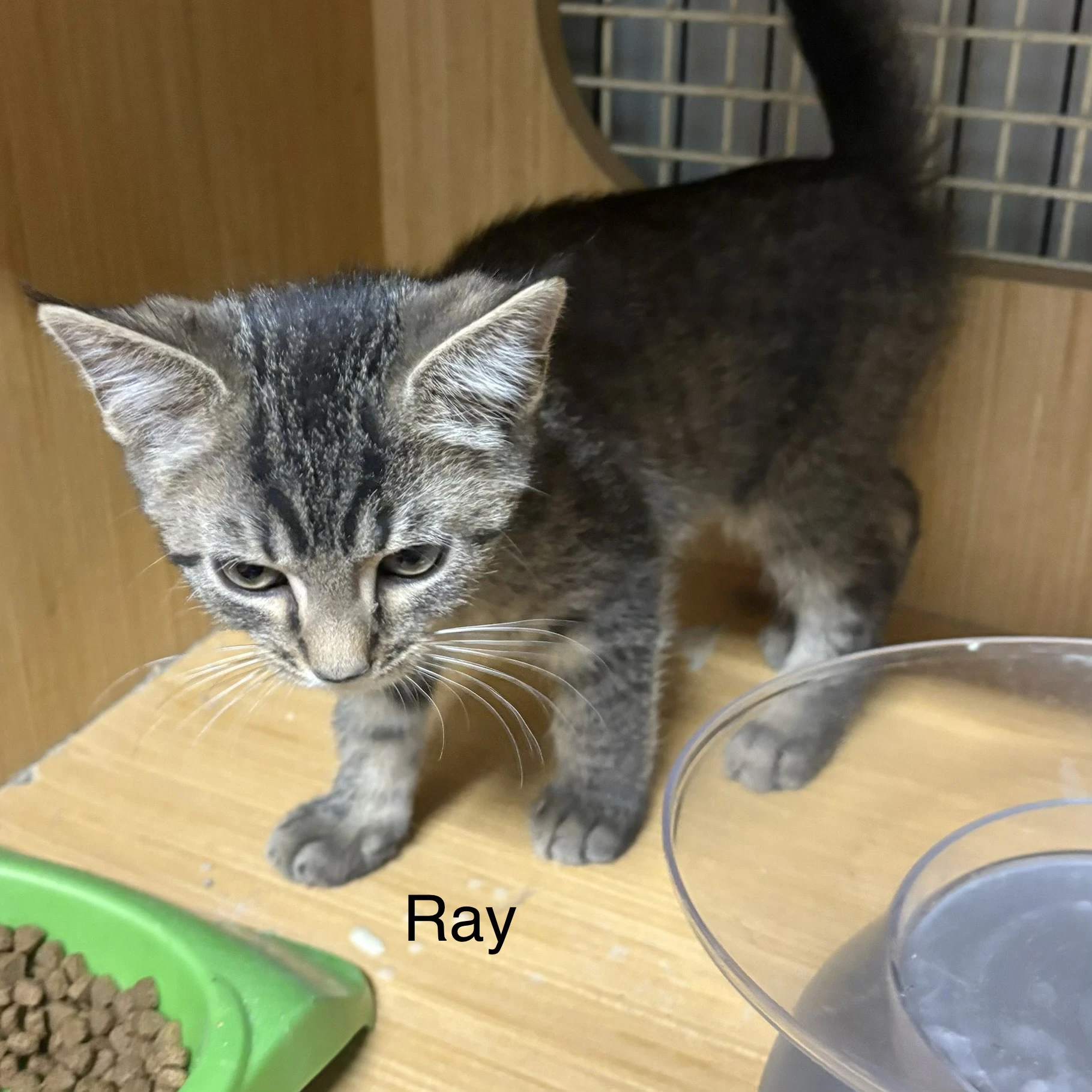 Ray  Th