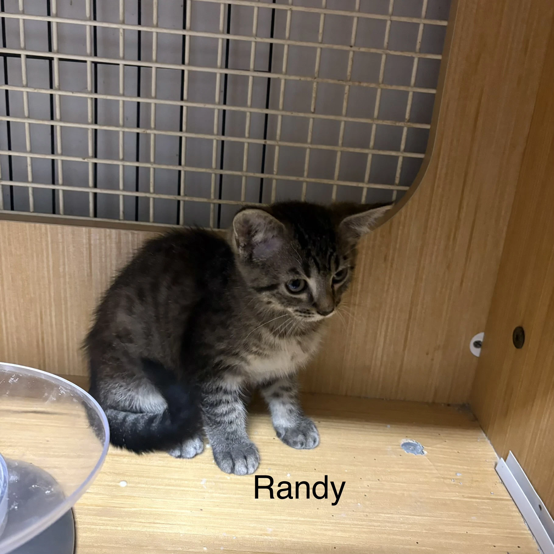 Randy Th