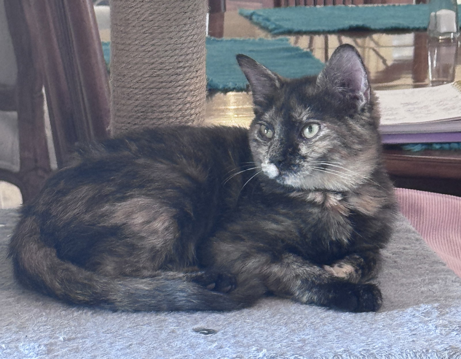 Sandy ( th), photo 2