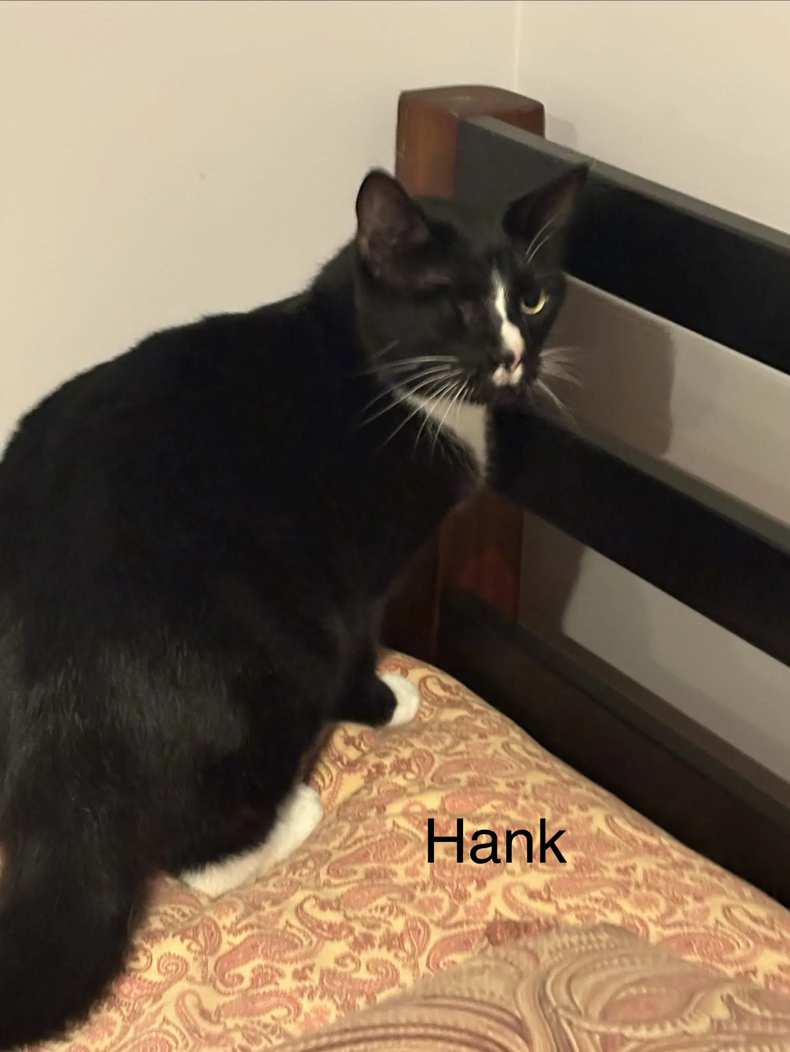 Hank Th - Tuxedo
