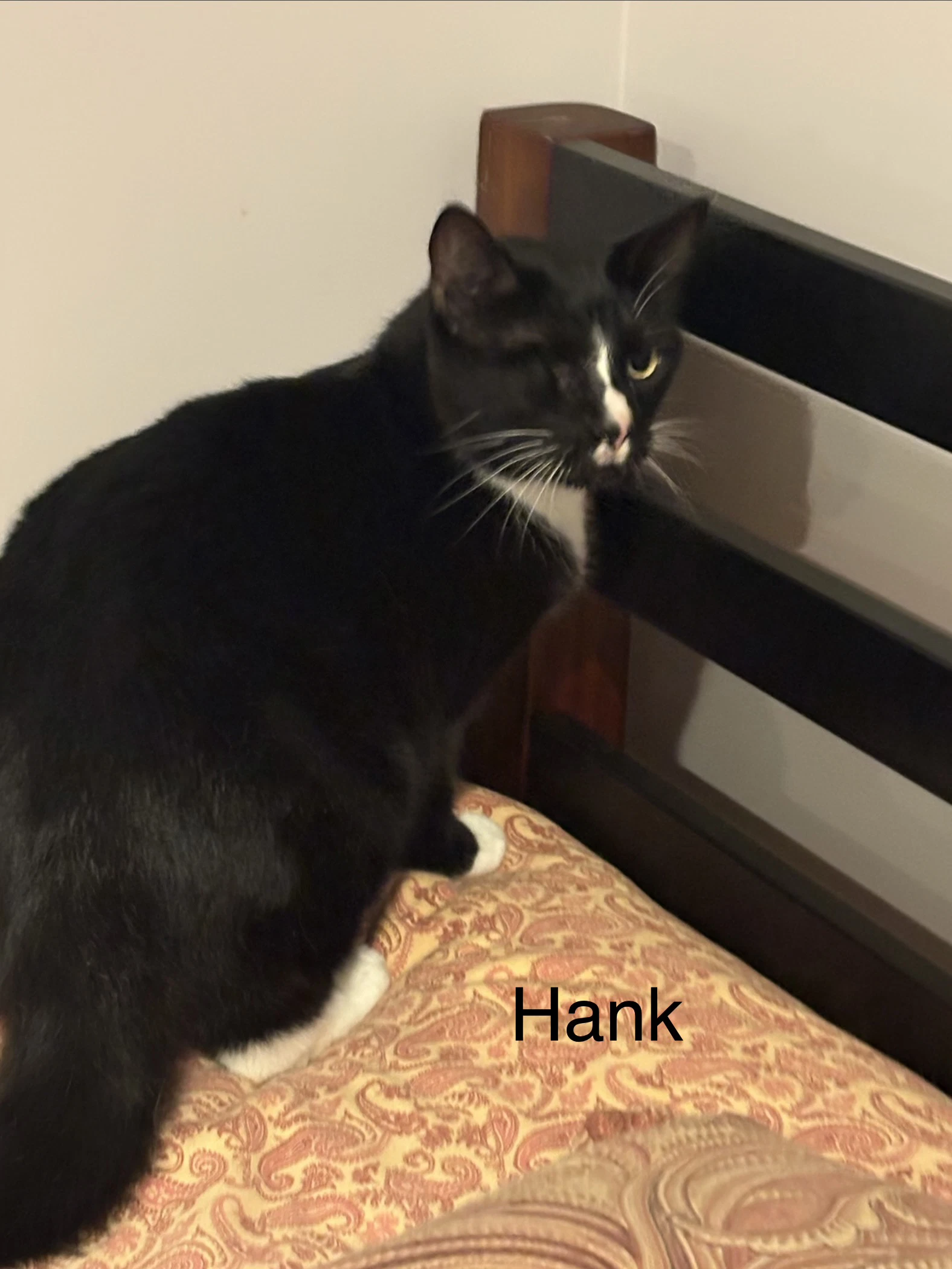 Hank Th