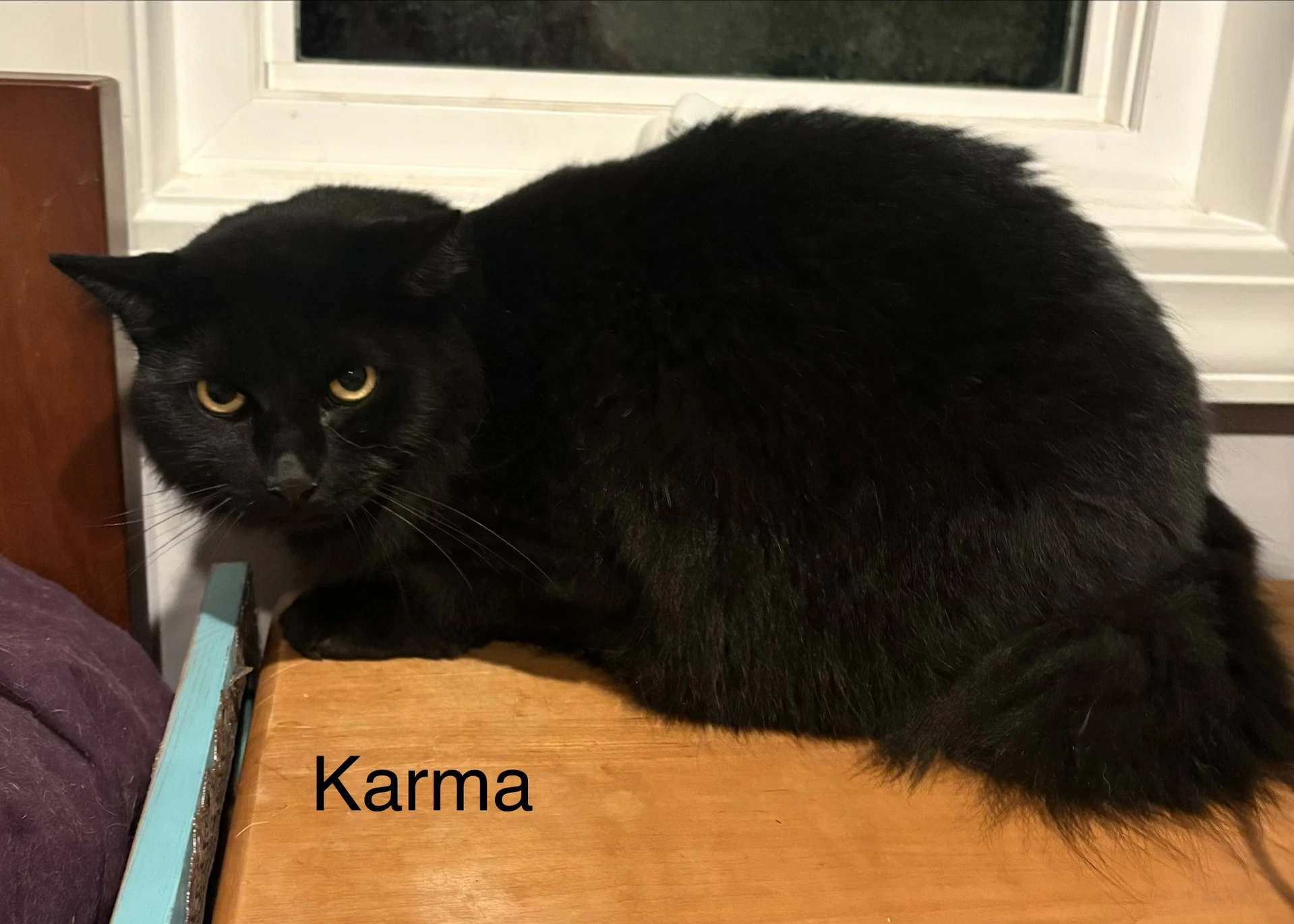 Karma