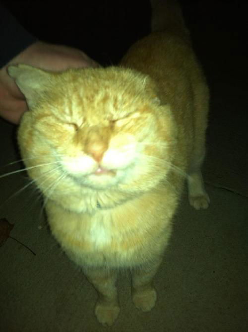 Kit Kat/courtesy posting