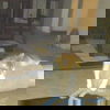 Buterscotch 11-2-12