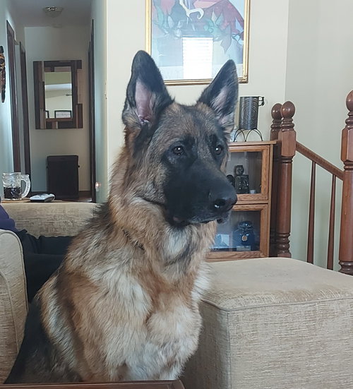 Ruby