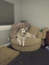 Roxie