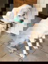 Timber