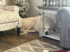 Moose - Senior Dog