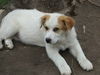 no name yet