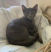 Smitten - Photo 1