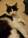 Della
