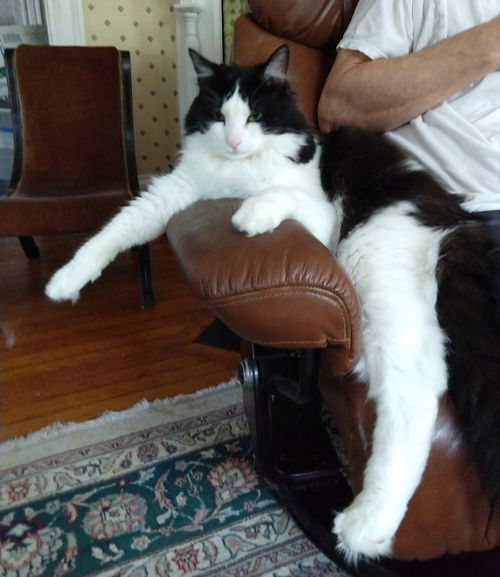 James Bond