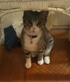 Lacie