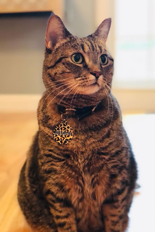 Natalia