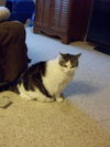 Lillian