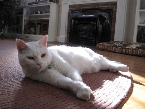 Whitey S