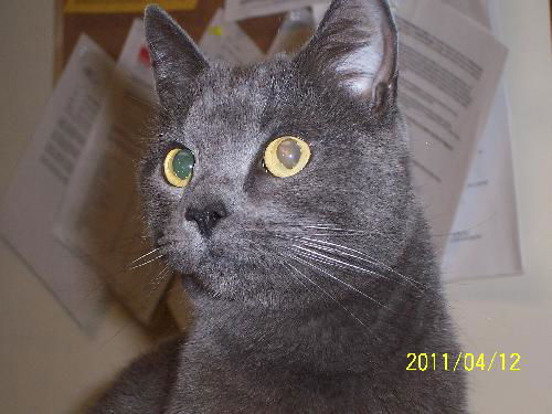Tegan