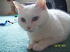 Lucy Ann