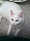 Lucy Ann