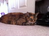 Maddy