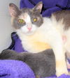 Creme Brulee aka Abbie