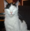 Marieke