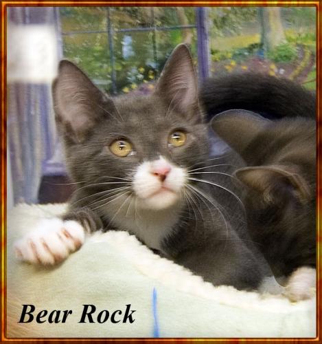 Bear Rock