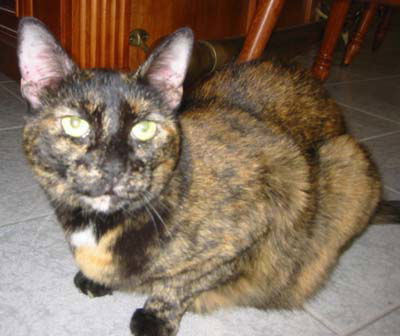 Beatrice