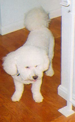 Benny