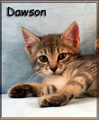 Dawson