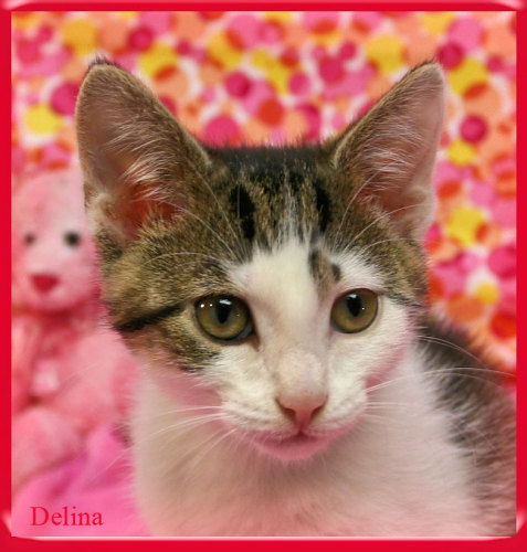 Delina