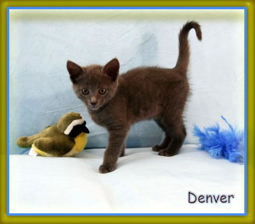 Denver