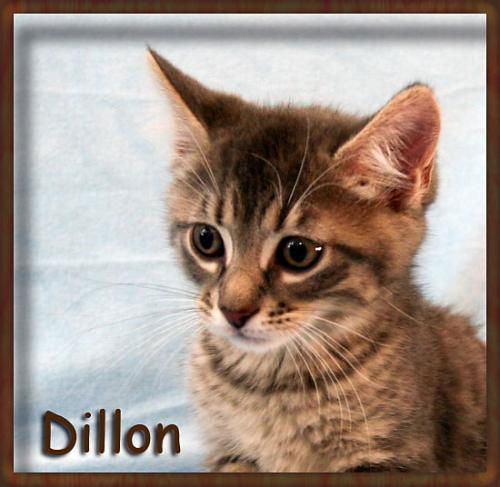 Dillon