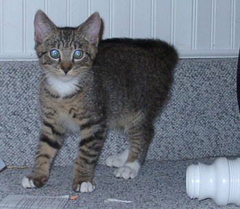 George