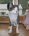 Hector