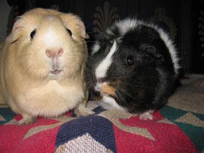 Heidi and Martha