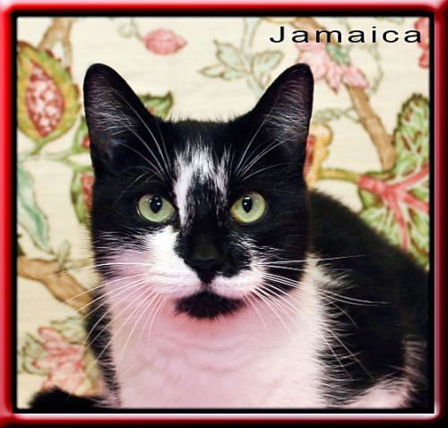 Jamaica