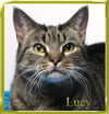 Lucy