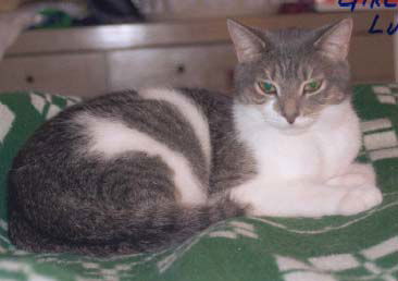 Lulu
