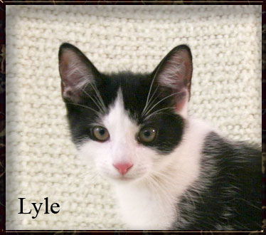 Lyle