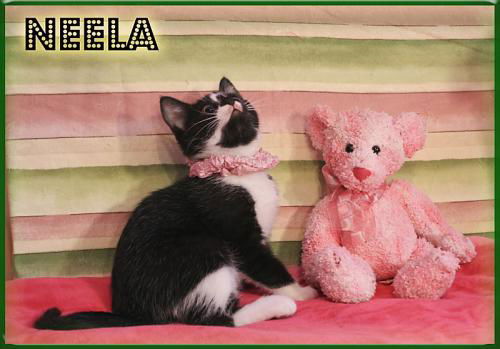 Neela