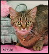 Vesta