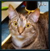 Vicky