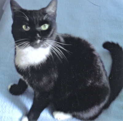 Wilma