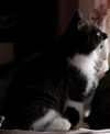 Patsy
